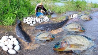 Best fishing skill, A fisherman catch a lot of fish and eggs by hand on the road