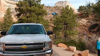 Big Horn Sheep Roundup Zion National Park