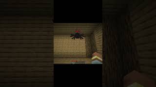 a spider comes inside my house #short #gaming