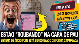 Roubo nas rodas de torneio? Veja o que descobrimos