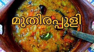 Palakkadan Nostalgic Recipe|Simple Ozhichukari|