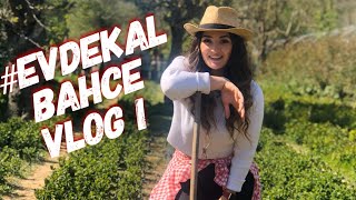 #EvdeKal  I  Bahçede geçen bir gün  I  Karantina  VLOG I