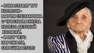 Истории из жизни. ПОНАСТАВЯТ ТУТ КОЛЯСОК!- МАРИЯ СТЕПАНОВНА ПНУЛА КОЛЯСКУ. Грустная история до слёз