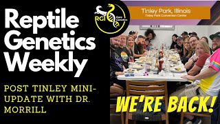 Post Tinley Mini Update! - Reptile Genetics Weekly