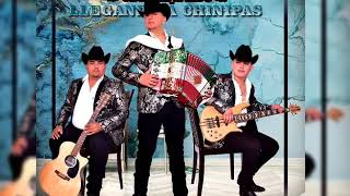 Llegando A Chinipas | Sonoreños Del Compa Tico [2020]