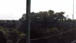 The Canopy Walkway at Sacha Lodge