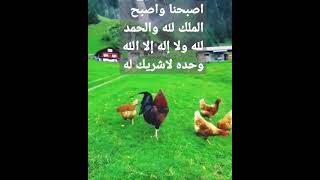 اصبحنا واصبح الملك لله والحمد لله ولا إله إلا الله وحده لاشريك له