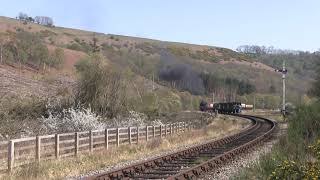 BR Standard Class 4 Tank No.80136  northbound departing Levisham [NYMR 2019]