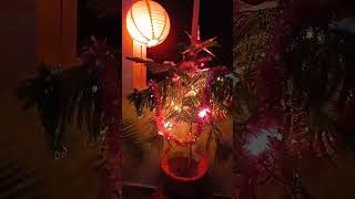 Simple Real Christmas Tree Decoration #shorts