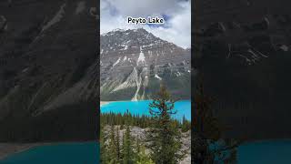 Top 3 Lakes you MUST see in Canada #shorts #fyp #short #lakes #lake #canada #alberta #bluewater #fyp