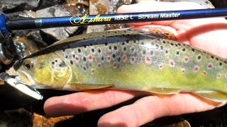 Ultra Light Trout Fishing 2014