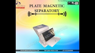 Plate Magnet Magnetic Separator Manufacturer, Supplier & Exporter