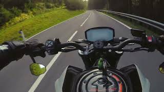 Downhill Run March 2024 | KTM Duke 790 | PURE Sound