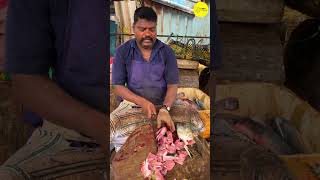 KASIMEDU SPEED SELVAM PARLA HEAD FISH CUTTING VIDEO / cutting focus #kasimeduselvam #bigfishcutting