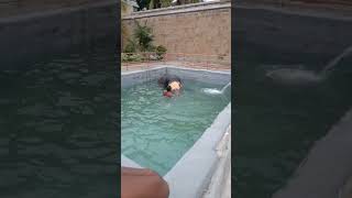 நீச்சல் அடிக்குது Elephant swiming🐘திருவானைகாவல் கோயில்யானை #funny #funnyvideo #shorts #animals #fun