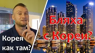 Вся правда о Корее. Можно ли пригнать бляху с Кореи?