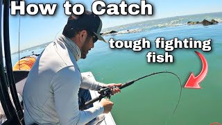 How to Catch Tough Fighting Fish | Fishing Galveston Texas