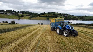 Wholecrop Rye Harvest 2021-D&S Mcmurran