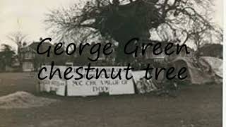 How to pronounce George Green chestnut tree in English?