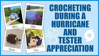 Crochet Amigurumi Makes & Pattern Tester Appreciation The Hurricane and AC update