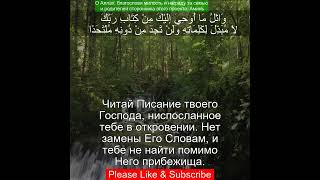 Коран Сура Аль-Кахф |18:27 | Чтение Корана с русским переводом | Quran Translation #quranrecitation