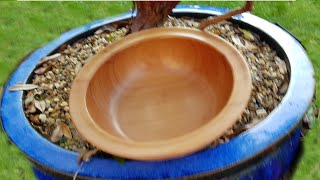 Lacewood bowl #woodturningart #woodturning