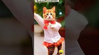 Jangle Billi ka dance 😂 patli kamriya Turi hai💥🤩 #cat #dance #youtubeshorts #shortsfeed