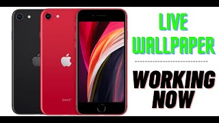 iPhone SE 2020 Live Wallpaper not working Solution | iPhone se 2020 live wallpaper not working