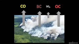 Biomass Burning, Aerosols, Precipitation and Land Cover Interactions - Osinachi Ajoku