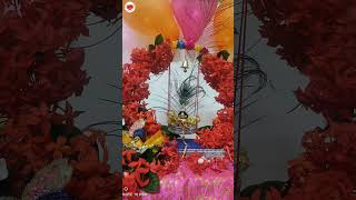 Janmashtami Whatsapp status video | Janmashtami short video 2023