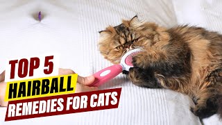 Cat Hairballs: 5 Home Remedies That Actually Work