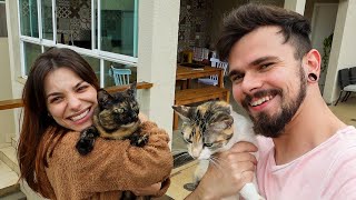 FINALMENTE soltamos os GATINHOS! - Vlog #34