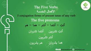 Q & An 23: What are the 5 verbs in Arabic?