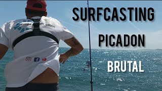 SURFCASTING ¡ TREMENDA PICADA BRUTAL ! JORNADA MUY ENTRETENIDA BUENA CAPTURA SURFCASTING