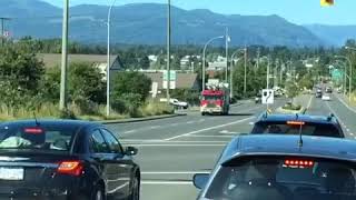 Courtenay Ladder 12