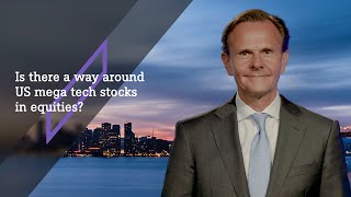 Is there a way around US mega tech stocks in equities?