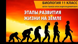 Этапы развития жизни на Земле