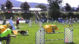 AAC Nationals 2012 Dog Agility Susan Garrett & Feature sgda