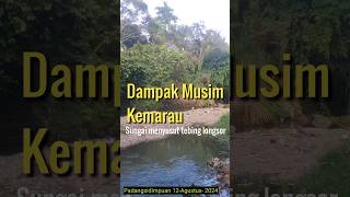 Padangsidimpuan 12 -Agustus-2024    DAMPAK MUSIM KEMARAU#shorts #padangsidimpuan