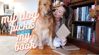 My dog picks my next read… blindly? wrapping my TBR