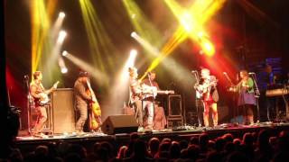 "Scent Of A Mule" Covered by Yonder Mountain String Band with Larry Keel | Jannus Live on