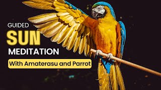 Meditation: A Celestial Duo: Amaterasu and Parrot