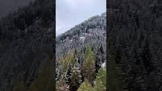 Snow covered pine trees on mount Nordkette in Austria #shorts