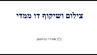 צילום ושיקוף דו ממדי 3