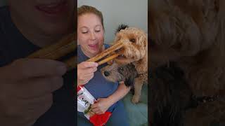 Bullysticks! Dogs Love Them | #dogtreats #dogs