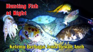 Night Spearfishing || Catch Cuttelfish and Rabbitfish