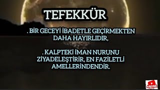 Tefekkür önemli bir ibadettir.Bir geceyi ibadetle geçirmekten daha hayırlıdır.