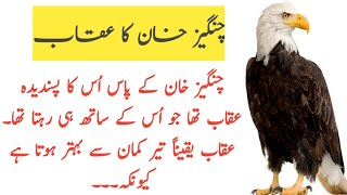 EAGLE OF CHANGAEZ KHAN / چنگیز خان کا عقاب سبق آموز واقعہ