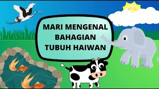 Bahagian Tubuh Haiwan | Prasekolah