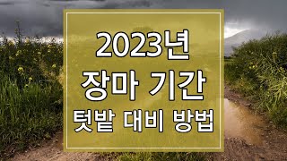 2023년 올해 장마 기간 및 텃밭 장마 대비 방법 6가지 알아보기